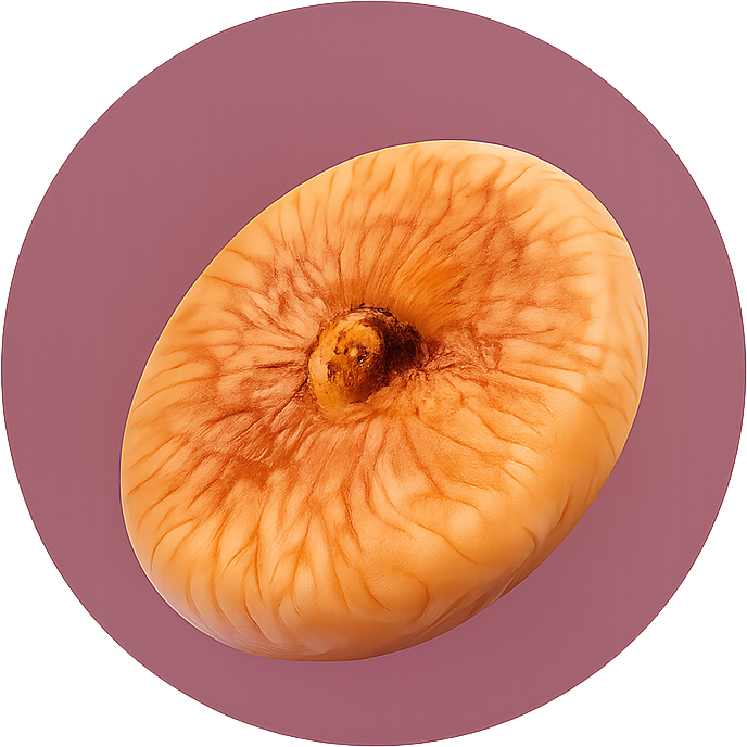 Dry Fig